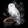Girl's Design By Humans Snowy By littleclyde T-Shirt - 2 of 3
