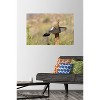 Trends International The Comedy Wildlife Photography Awards: Wendy Kaveney - That Wasn't Here Yesterday Unframed Wall Poster Prints - 2 of 4