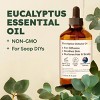 Eucalyptus Essential Oil (4 Fl Oz/118 ml) - KUKKA Eucalyptus Oil for Diffuser, Humidifier, Skin, Hair - 2 of 4