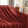 Inhand Flannel Throw Blanket, 50”x60” Super Soft Fuzzy Blanket for Couch Sofa Bed Office, Cozy Plush Lightweight Blanket Throw Size - 3 of 4