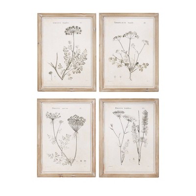 17.7" x 23.6" (Set of 4) Styles Vintage Botanical Printed Framed Wall Art Brown - 3R Studios