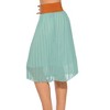 Just Love Skirts / Pleated Skirt - 2 of 3