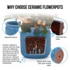 KTMBDW Ceramic Plant Pots, Planter Pot with Drainage Hole, Flower Pots for Indoor Outdoor Plants, Set of 3 - 3 of 4