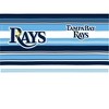 MLB Tampa Bay Rays 24oz Hype Stripes Classic Tumbler - 2 of 4