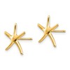Black Bow Jewelry 13mm Polished Pencil Starfish Post Earrings in 14k Yellow Gold - 2 of 4