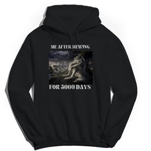 Rerun Island Men's After Mewing For 5000 Days Long Sleeve Graphic Cotton Sweatshirt Hoodie - 1 of 4