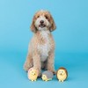 PetShop by Fringe Studio On a Roll Dog Interactive Toy Set - 3pk - 4 of 4