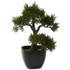 Nearly Natural 15-in Cedar Bonsai - 2 of 3
