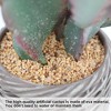 3Ft 36" Large Artificial Cactus with Black Pot, UV Resistant Realistic Faux Plants Indoor, Lifelike Fake Cactus Plant for Indoor and Outdoor - 4 of 4