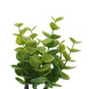 Unique Bargains Artificial Plants Plastic Green 2.76"x2.76"x5.51" 1 Pc - 4 of 4