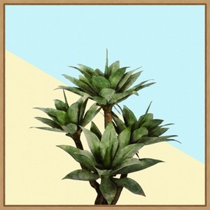 Amanti Art Agave 02 by Amini54 Canvas Wall Art Print Framed - 1 of 4