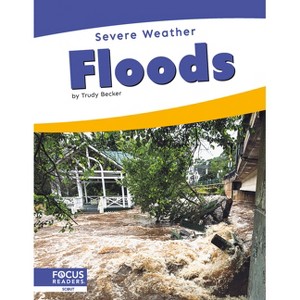 Floods - by  Trudy Becker (Paperback) - 1 of 1
