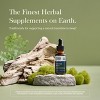 Gaia Herbs Valerian Root - Stress & Sleep Support - Organic Liquid Vegan Health Supplement for Calming Suppor - Dairy, Soy & Gluten Free - 1 oz - 2 of 4