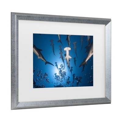 Silver Framed Hammerhead Shark Ocean Canvas Print