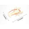 Collectible Wildlife Gifts | Lobster, Squeaks and Squirts Water, Rubber Crustaceans, Educational, Model,  Gift,    12"   With Antenna    F1461 B212 - 3 of 4