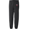 East Stroudsburg University Logovision Mens Primary Logo Jogger Sweatpants - 2 of 4