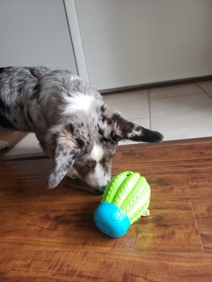 Cactus Surprise! Treat Dispenser