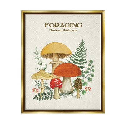Stupell Industries Botanical Plants & MushroomsFloater Canvas Wall Art