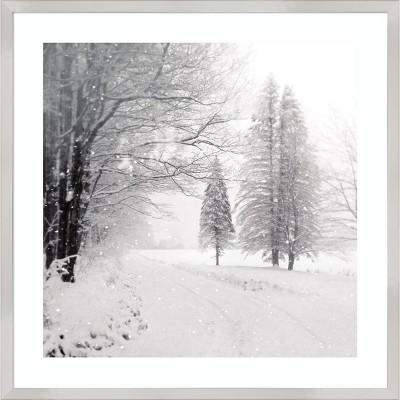 Winter Wonderland Framed Canvas Print in Black and White