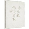 23"x28" Plants From The Meadow IV by Sarah Adams Framed Canvas Wall Art Print White - Amanti Art - 2 of 4