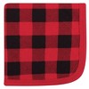 Hudson Baby Infant Boy Quilted Cotton Washcloths, Moose, One Size - 4 of 4