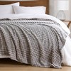 Kumasinova Carved Plush Blanket,Soft All-Season Polyester Throw,Blanket for Bed,Sofa,OEKO-TEX Certified,Machine Washable - 2 of 4