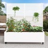 PexFix  Metal Wall Planter Box with Trellis for Climbing Plants - 2 of 4