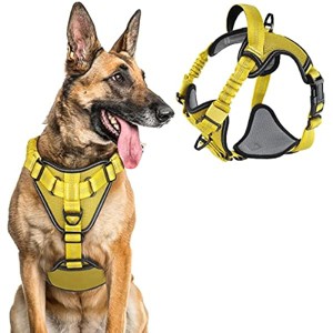 rabbitgoo Dog Harness, No Pull Dog Vest Harnesses with Bungee Handle & 2 Metal Clips, Belly Adjustable, Soft Padded for Large Medium Small Dogs - 1 of 1