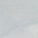 coastal white