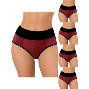 Allegra K Women's Plus Size High Waist Tummy Control Color-Block 5 Packs Available Briefs - 1 of 4