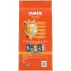 IAMS Proactive Health Chicken Flavor Dry Cat Food - 2 of 4