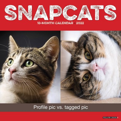 2022 Wall Calendar Snapcats - Willow Creek Press