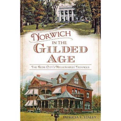 Norwich in the Gilded Age - by  Patricia F Staley (Paperback)