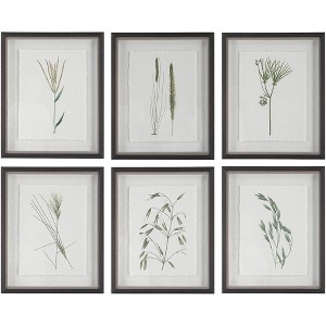 Uttermost Forest Finds 22" High 6-Piece Framed Wall Art Set - 1 of 1