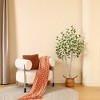 Kazeila Artificial Betula Tree in Pot, Pre Potted Faux Greenry Tree for Home Decor, Big Fake Plants - 2 of 4