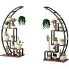 5 Tier Large Plant Stand Indoor, Half Moon Plant Shelf Ladder Flower Pot Stand Rack, Curved Flower Display Holder for Home Patio Lawn Garden Balcony - 4 of 4