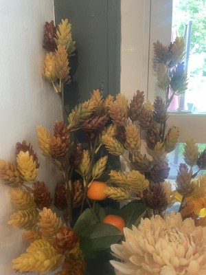 Guest review image 1 of 2, zoom in
