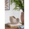 Okak Sand and Cement Conch Shell Planter with Textured, Flower Pots for Indoor Outdoor Decorative Plants - 2 of 4