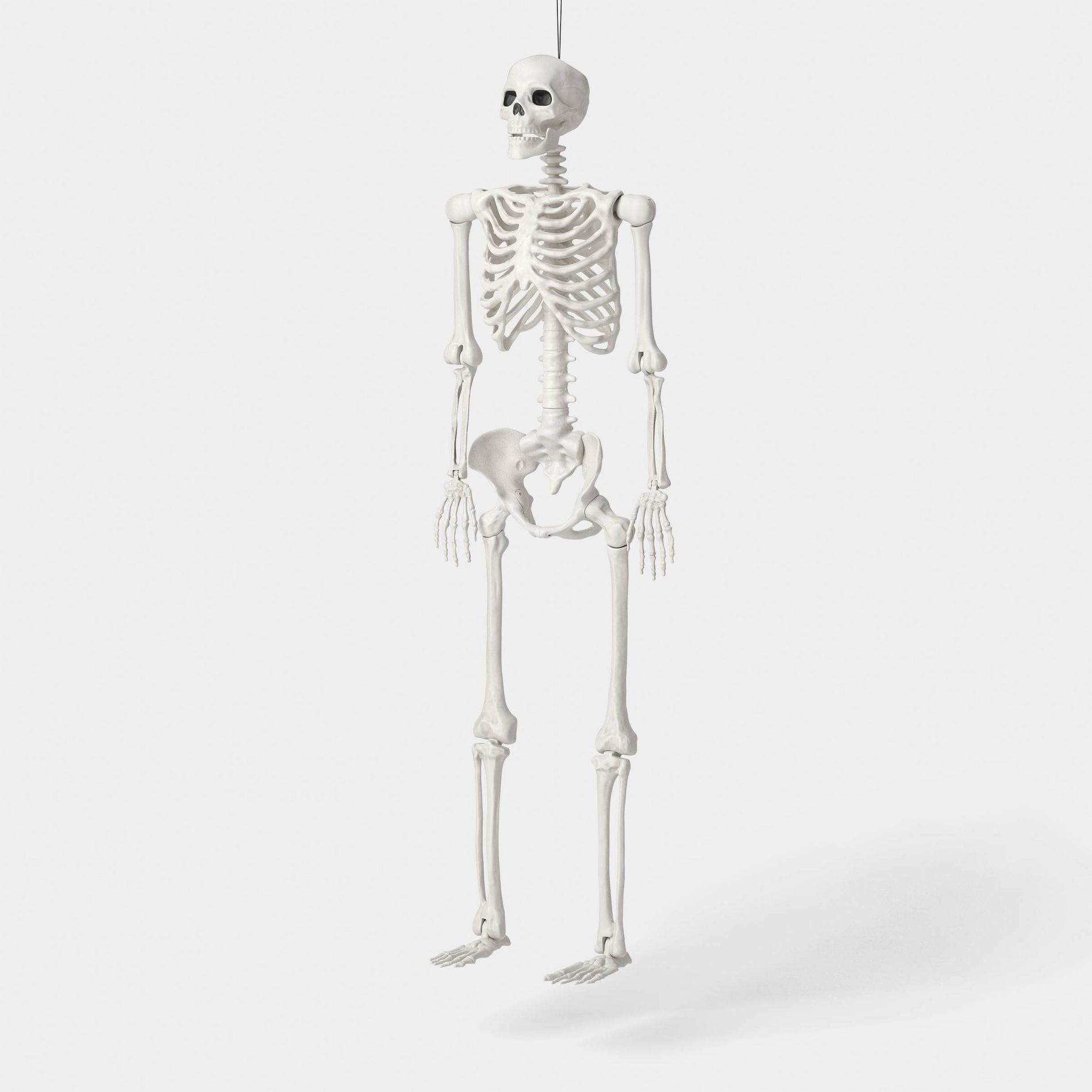 60" Multi Pose-N-Stay Poseable Lifesize Skeleton Halloween Decorative Prop Off-White - Hyde and EEK! Boutique™