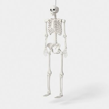 60" Multi Pose-N-Stay Poseable Lifesize Skeleton Halloween Decorative Prop Off-White - Hyde and EEK! Boutique™