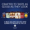 Talenti Madagascan Vanilla Bean Gelato - 16oz - 4 of 4