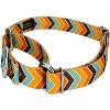 Country Brook Petz Martingale Dog Collar - Chevron and Arrows Collection - 2 of 4