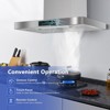 Tylza 30-inch 900 CFM Wall Mount Range Hood  Convertible (Ductless/Ducted) - 3 of 4