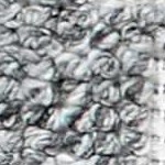 ivory, light slate, black