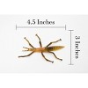 Collectible Wildlife Gifts | Stick Insect, Phasmatodea, Rubber Insect, Hand Painted, Realistic Toy Figure, Model, Gift,     4 1/2"    CH458 BB114 - 2 of 4
