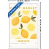 Trends International Reinders: Fruit Market - Sorrento Lemons Framed Wall Poster Prints - 3 of 4