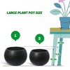 11.3" H x 13.4"Diameter Self-Watering Indoor Plant Pots with Built-in Drainage Set of 2 with 10" Pot Opening, Black - 3 of 4