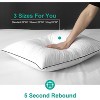 Aghana Digitals Medium Firm Down/Poly Pillows Set of 2, King Size, Organic Cotton Cover - 2 of 4
