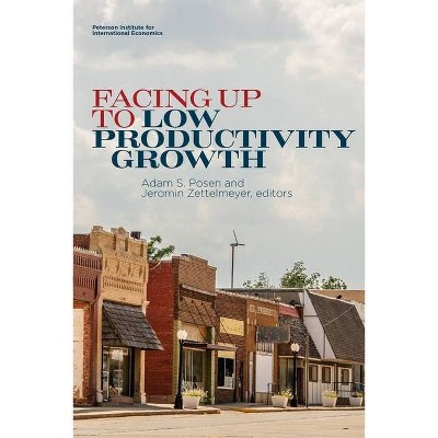 Facing Up to Low Productivity Growth - by  Adam Posen & Jeromin Zettelmeyer (Paperback)