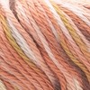 Lion Brand Pima Cotton Yarn - 2 of 2